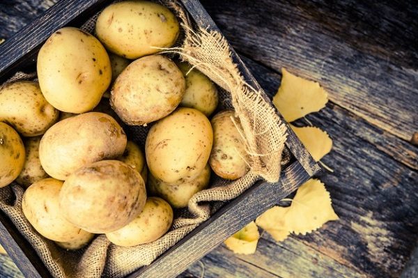 Как хранить картофель