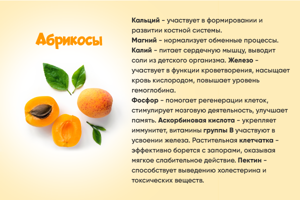 абрикосы польза