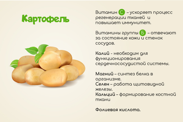 польза картофеля