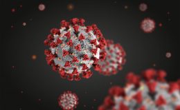 Втрата нюху при коронавірусі