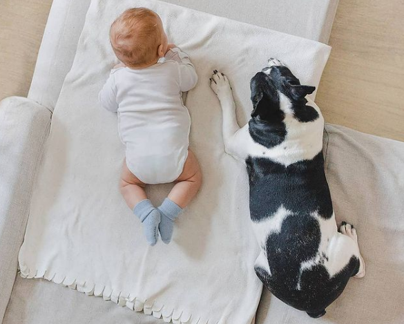 дети и животные, ребенок и собака, новорожденный и собака