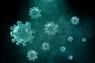 Ученые назвали главную причину тромбоза при COVID-19