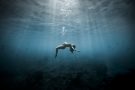 15+ дивовижних фото вагітних під водою, які вас вразять