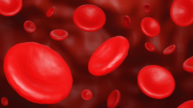 Как повысить гемоглобин: 3 полезных совета