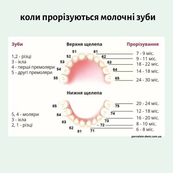 Поява молочних зубів - терміни
